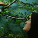 dinarkdewi