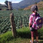 green-fields-1347097_960_720