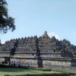 BOROBUD