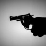 pistol
