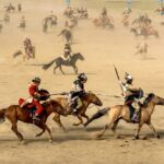 horse-1567608_960_720