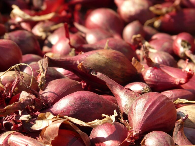 red-shallots-5775_960_720