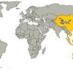 CINA