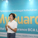 5fcb64f6vx.jpg