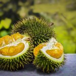 durian-3597242_1280