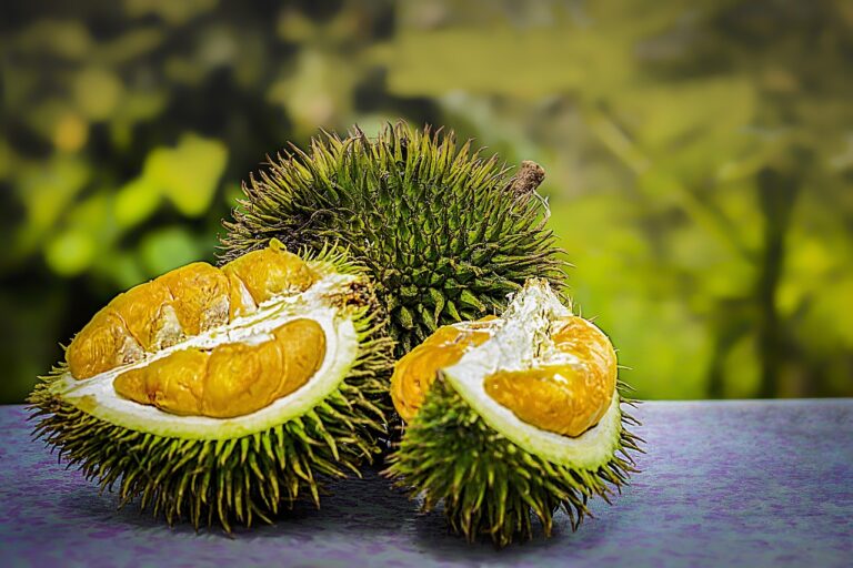 durian-3597242_1280