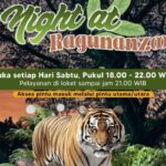 ragunan night