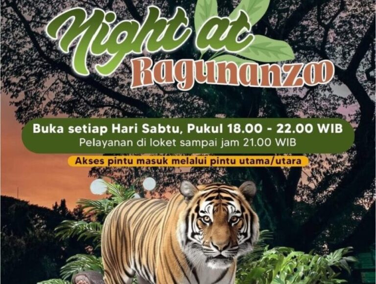 ragunan night