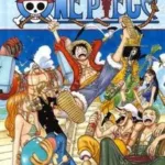 sampul-one-piece