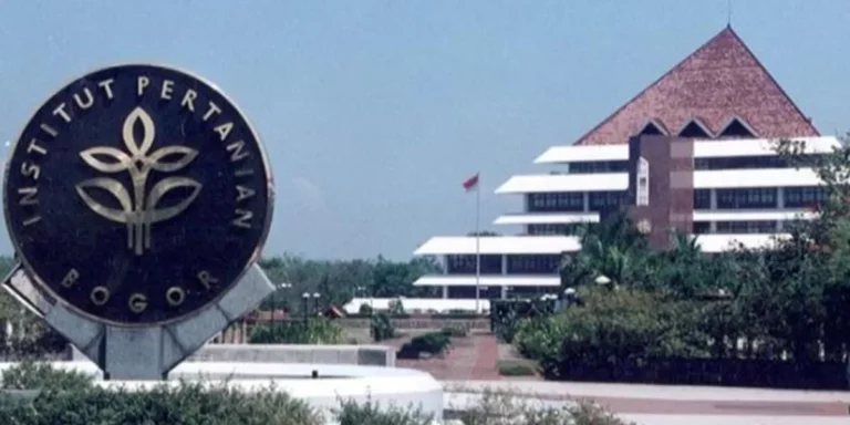 IPB University, salah satu perguruan tinggi terbaik di Indonesia yang terkenal dengan persaingan ketatnya.