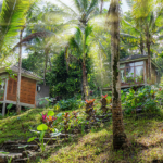 Saat hujan turun, sawah berundak dan hutan tropis Ubud tampak lebih hijau dan hidup. Wisatawan cenderung mengisi waktu dengan aktivitas yang tetap nyaman di dalam atau semi-terbuka: spa, retret yoga, kafe butik, hingga berburu karya seni di galeri-galeri lokal.