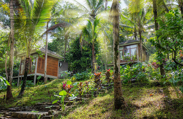 Saat hujan turun, sawah berundak dan hutan tropis Ubud tampak lebih hijau dan hidup. Wisatawan cenderung mengisi waktu dengan aktivitas yang tetap nyaman di dalam atau semi-terbuka: spa, retret yoga, kafe butik, hingga berburu karya seni di galeri-galeri lokal.