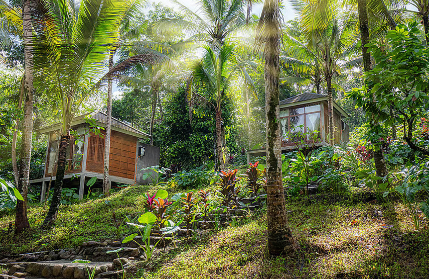 Saat hujan turun, sawah berundak dan hutan tropis Ubud tampak lebih hijau dan hidup. Wisatawan cenderung mengisi waktu dengan aktivitas yang tetap nyaman di dalam atau semi-terbuka: spa, retret yoga, kafe butik, hingga berburu karya seni di galeri-galeri lokal.