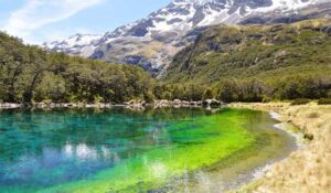 Air tawar paling jernih yang pernah didokumentasikan berada di Rotomairewhenua (Blue Lake) di Taman Nasional Danau Nelson, Selandia Baru.