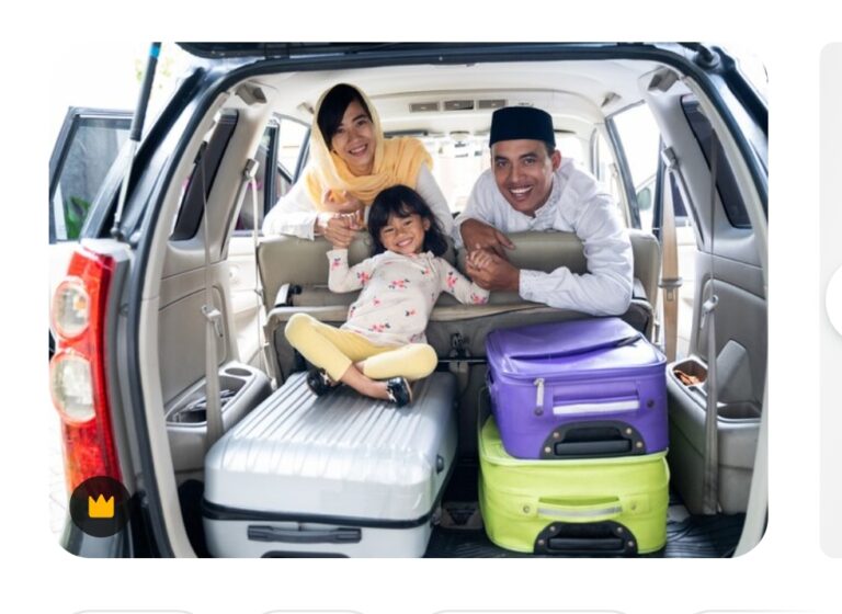 mudik