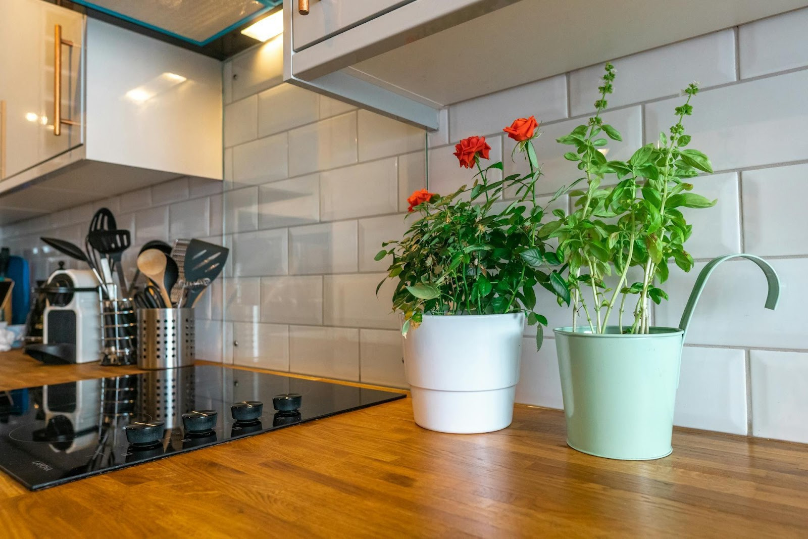 dapur cantik