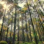 Taman Wisata Alam Gunung Pancar, Bogor