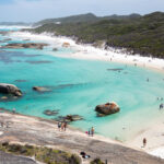 Kawasan South West di Western Australia tengah naik daun. Berlokasi hanya sekitar 2 hingga 5 jam perjalanan darat dari Perth, kawasan ini menawarkan perpaduan lengkap: dari bertemu lumba-lumba, berburu truffle, hingga menyusuri hutan kuno yang usianya ratusan tahun.