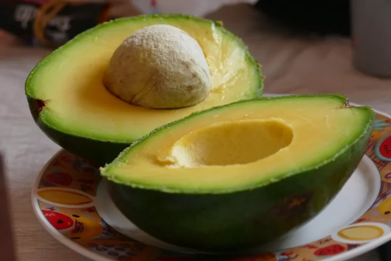 Kabar baik bagi pencinta alpukat. Sebuah penelitian terbaru mengungkap bahwa mengonsumsi satu buah alpukat setiap hari berpotensi memberikan manfaat bagi kesehatan jantung, terutama pada orang dewasa yang mengalami obesitas.